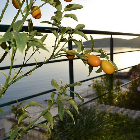 Villa Panorma Кепаро Екстериор снимка