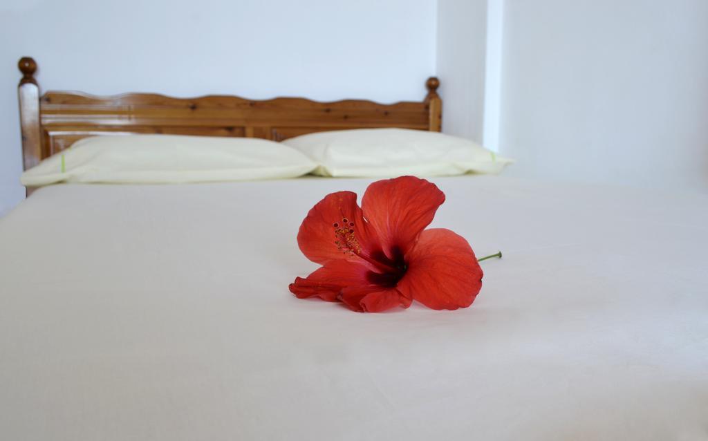 Villa Panorma Кепаро Екстериор снимка