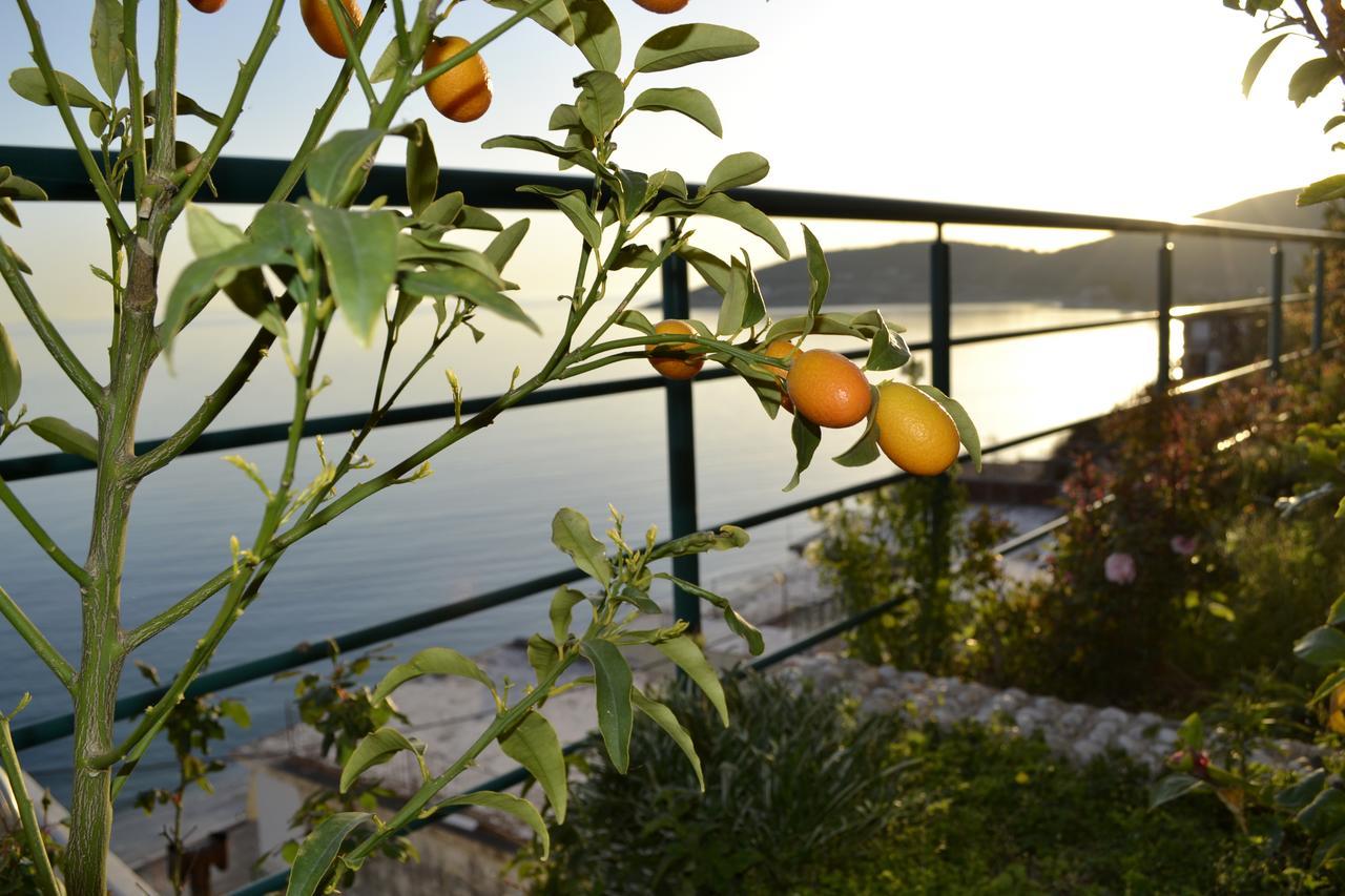 Villa Panorma Кепаро Екстериор снимка